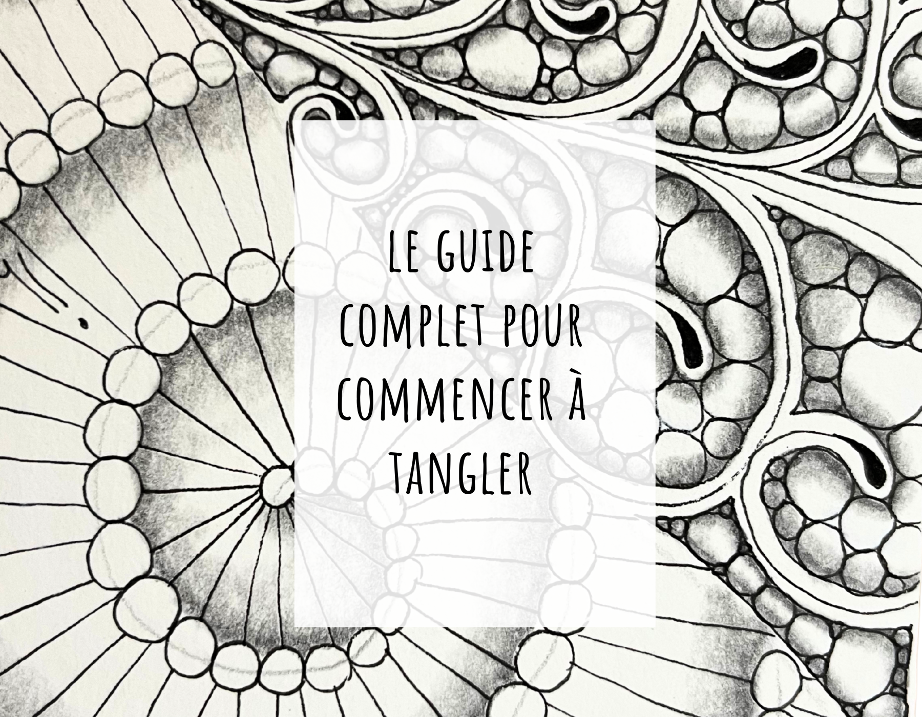 
guide complet zentangle jijihook