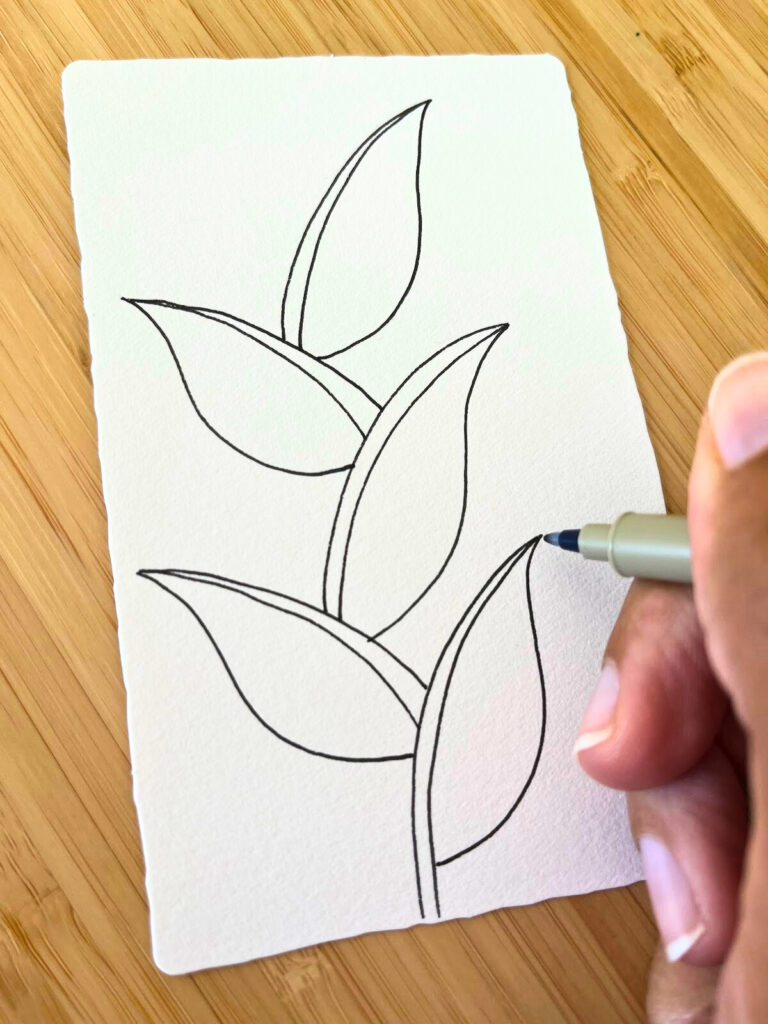 Dessin présentant plusieurs feuilles ajoutées aux tiges du motif Zentangle Foundabout, exemple tiré d’un article du blog Jijihook.