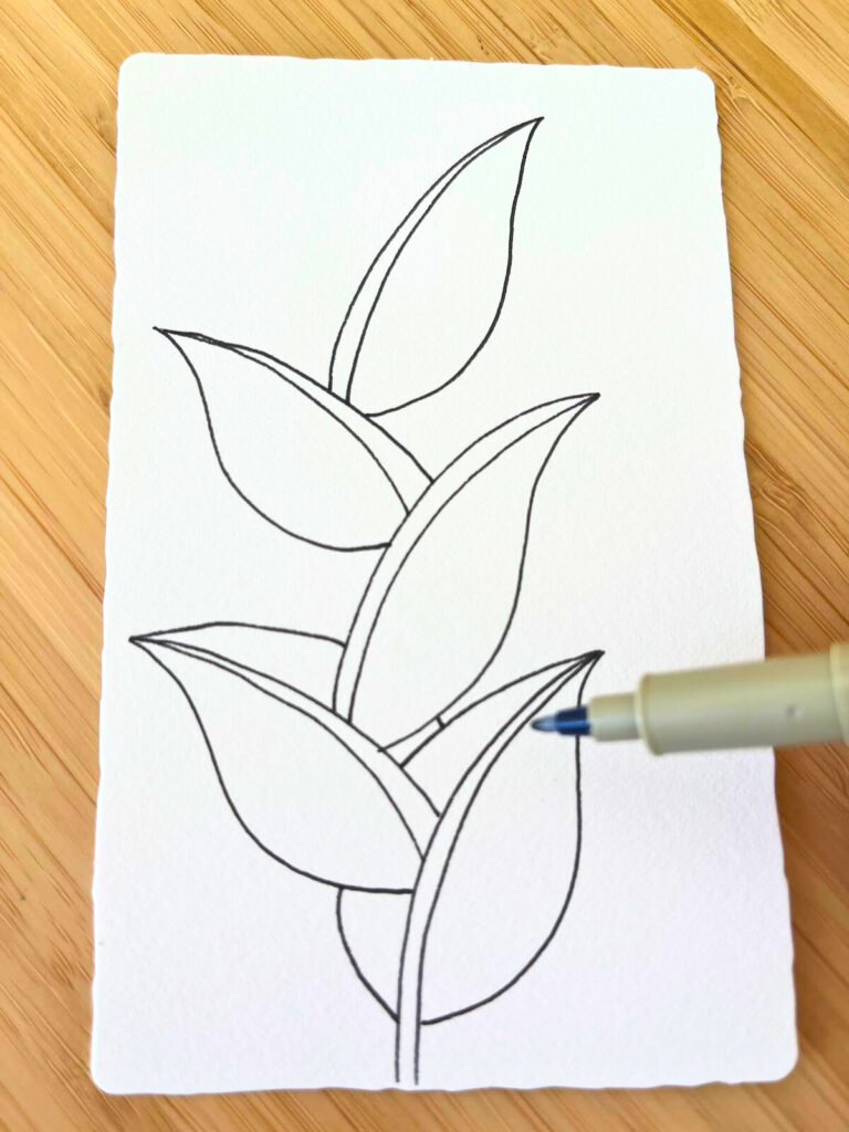 Image montrant la fermeture des feuilles par une ligne douce pour compléter leur forme, extrait du tutoriel Zentangle pas à pas de Jijihook.