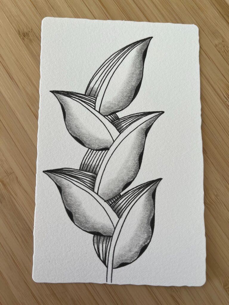 Exemple final d’un motif Zentangle combinant Foundabout et Mythograph sur papier blanc, publié sur le blog Jijihook.