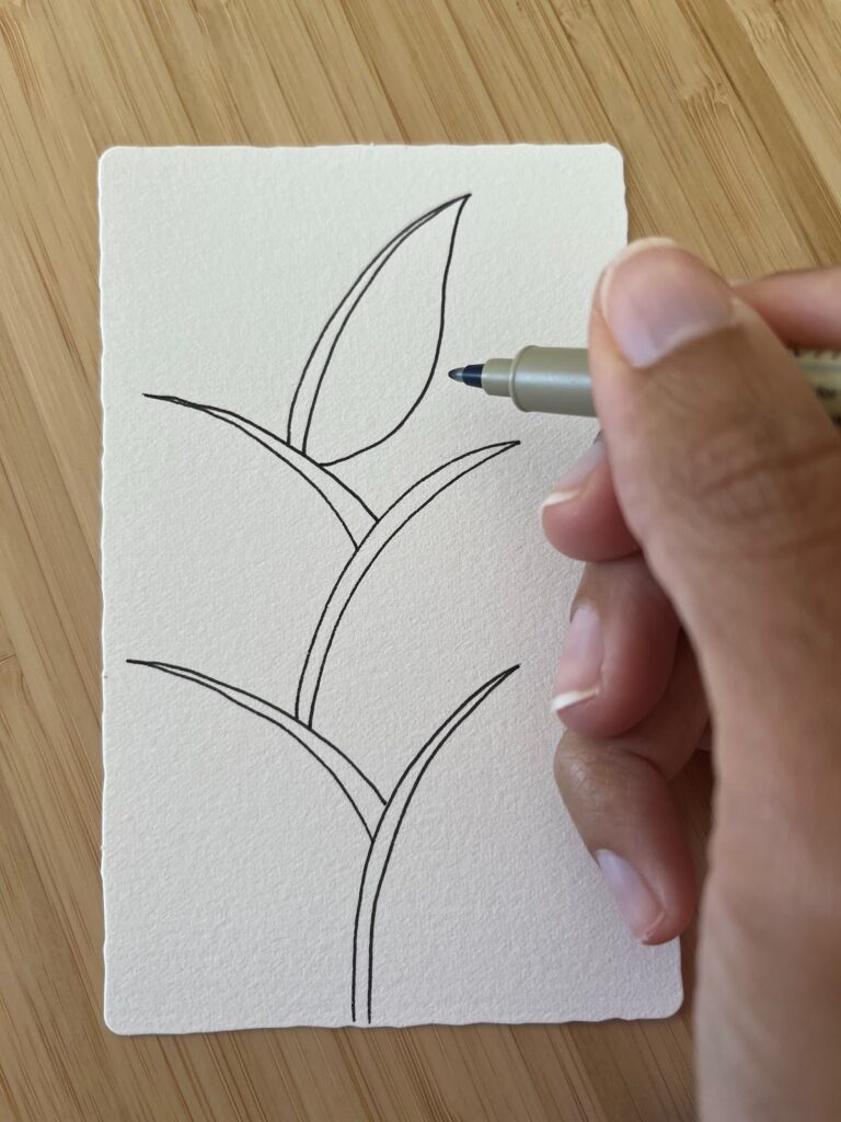 Illustration d’une première feuille tracée à l’extrémité d’une tige du motif Foundabout, tutoriel artistique -  www.jijihook.fr