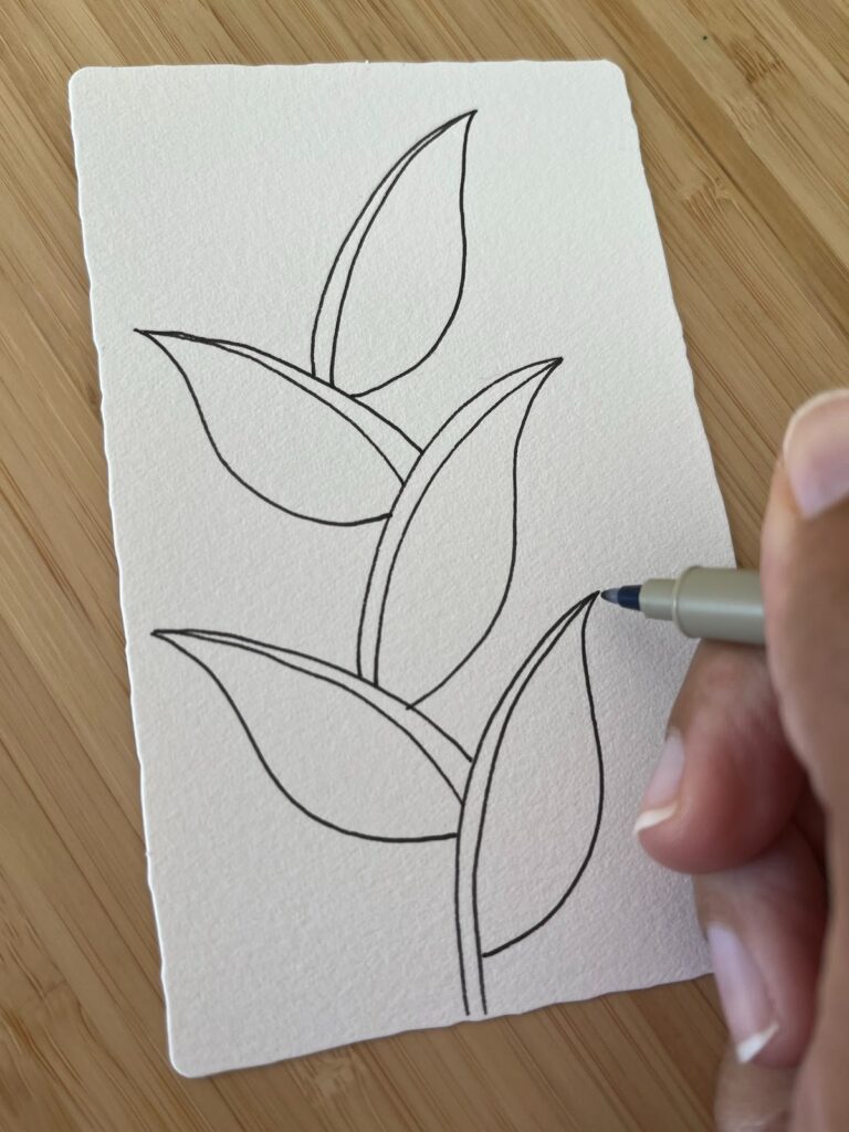 Dessin présentant plusieurs feuilles ajoutées aux tiges du motif Zentangle Foundabout, exemple tiré d’un article du blog Jijihook.