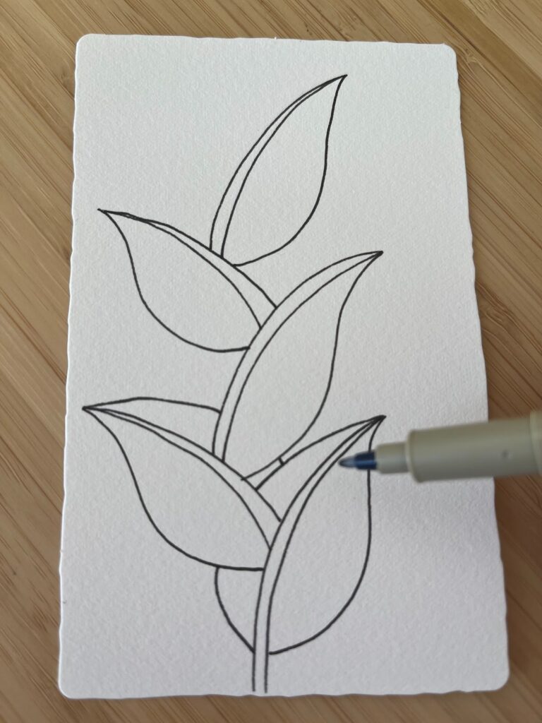Image montrant la fermeture des feuilles par une ligne douce pour compléter leur forme, extrait du tutoriel Zentangle pas à pas de Jijihook.